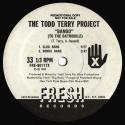 Todd Terry Project