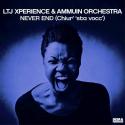 LTJ Xperience & Ammuin Orchestra