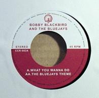 Bobby Blackbird And The Bluejays